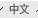 Chinese Site